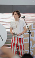 Timothee Chalamet photo #