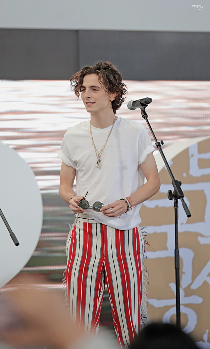 Timothee Chalamet: pic #1324698