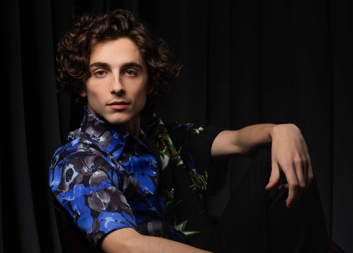 Timothee Chalamet: pic #1344683