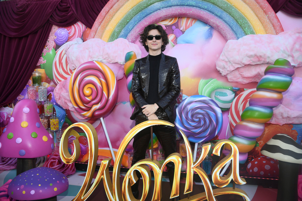 Timothee Chalamet: pic #1340855
