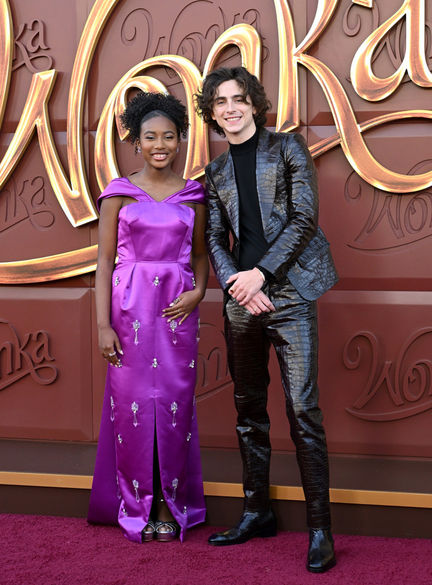 Timothee Chalamet: pic #1340853