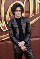 Timothee Chalamet photo #