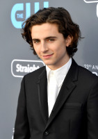 Timothee Chalamet photo #