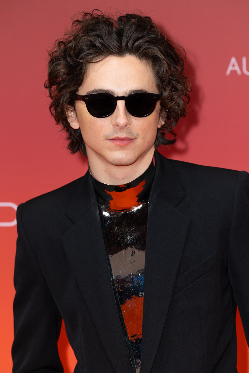 Timothee Chalamet: pic #1348424