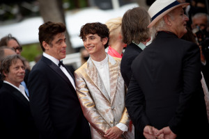 Timothee Chalamet photo #