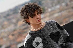 Timothee Chalamet photo #