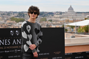 Timothee Chalamet photo #