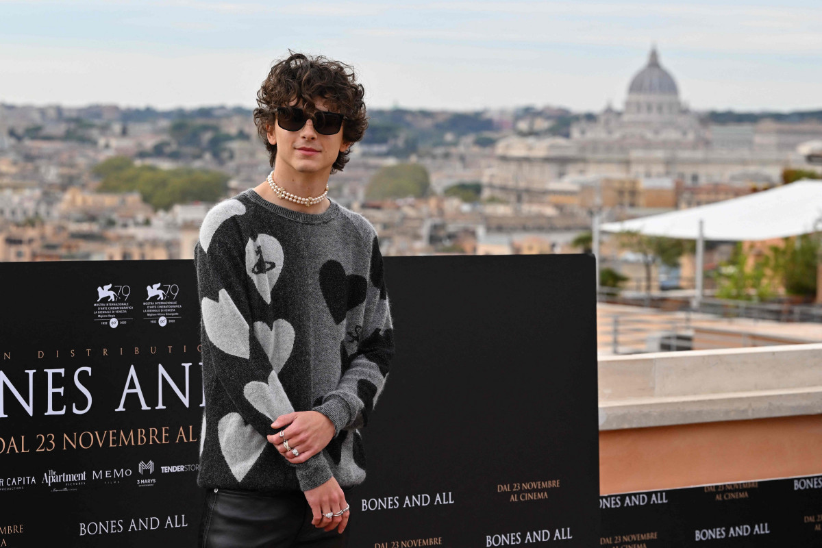 Timothee Chalamet: pic #1316453