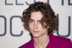 Timothee Chalamet photo #