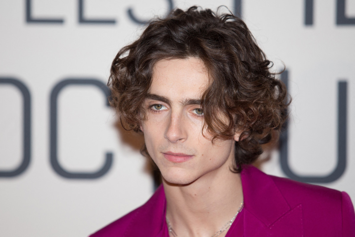 Timothee Chalamet: pic #1295383