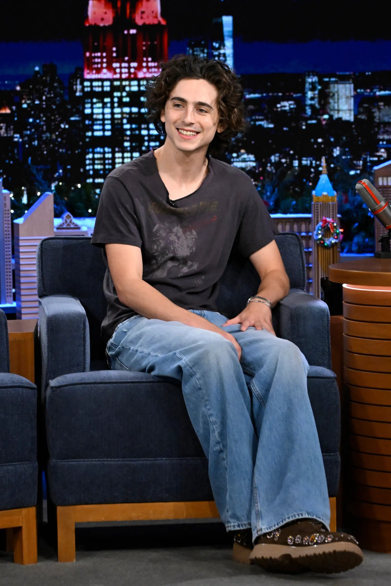 Timothee Chalamet: pic #1344308