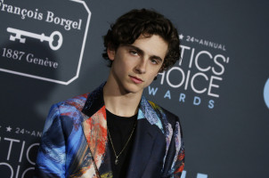 Timothee Chalamet photo #