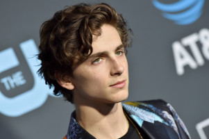 Timothee Chalamet photo #