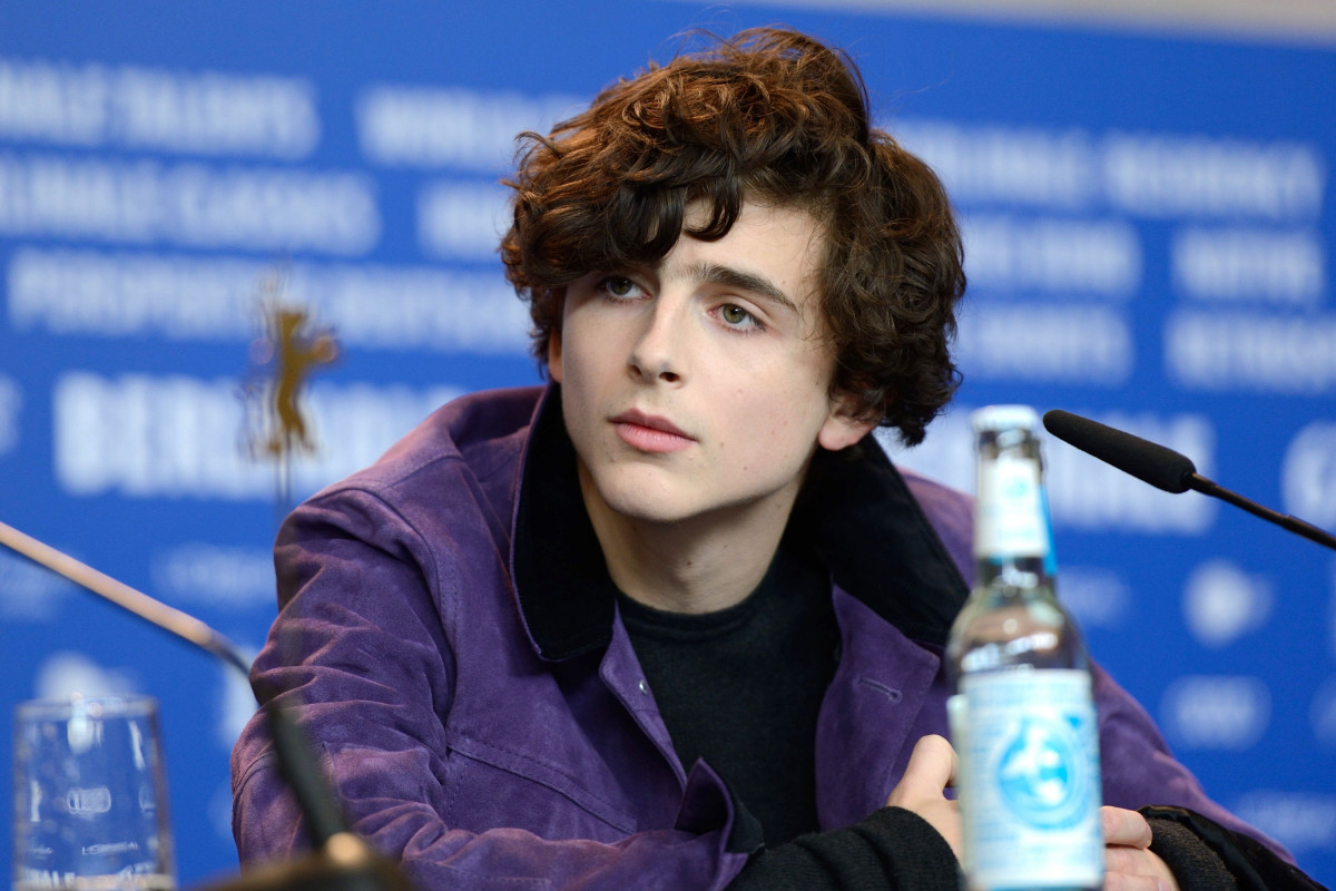 Timothee Chalamet: pic #1331566