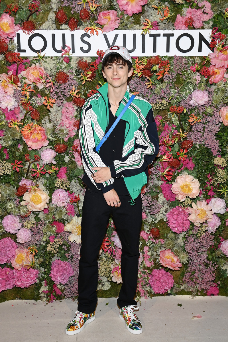 Timothee Chalamet: pic #1282615