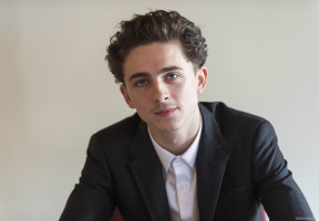 Timothee Chalamet photo #