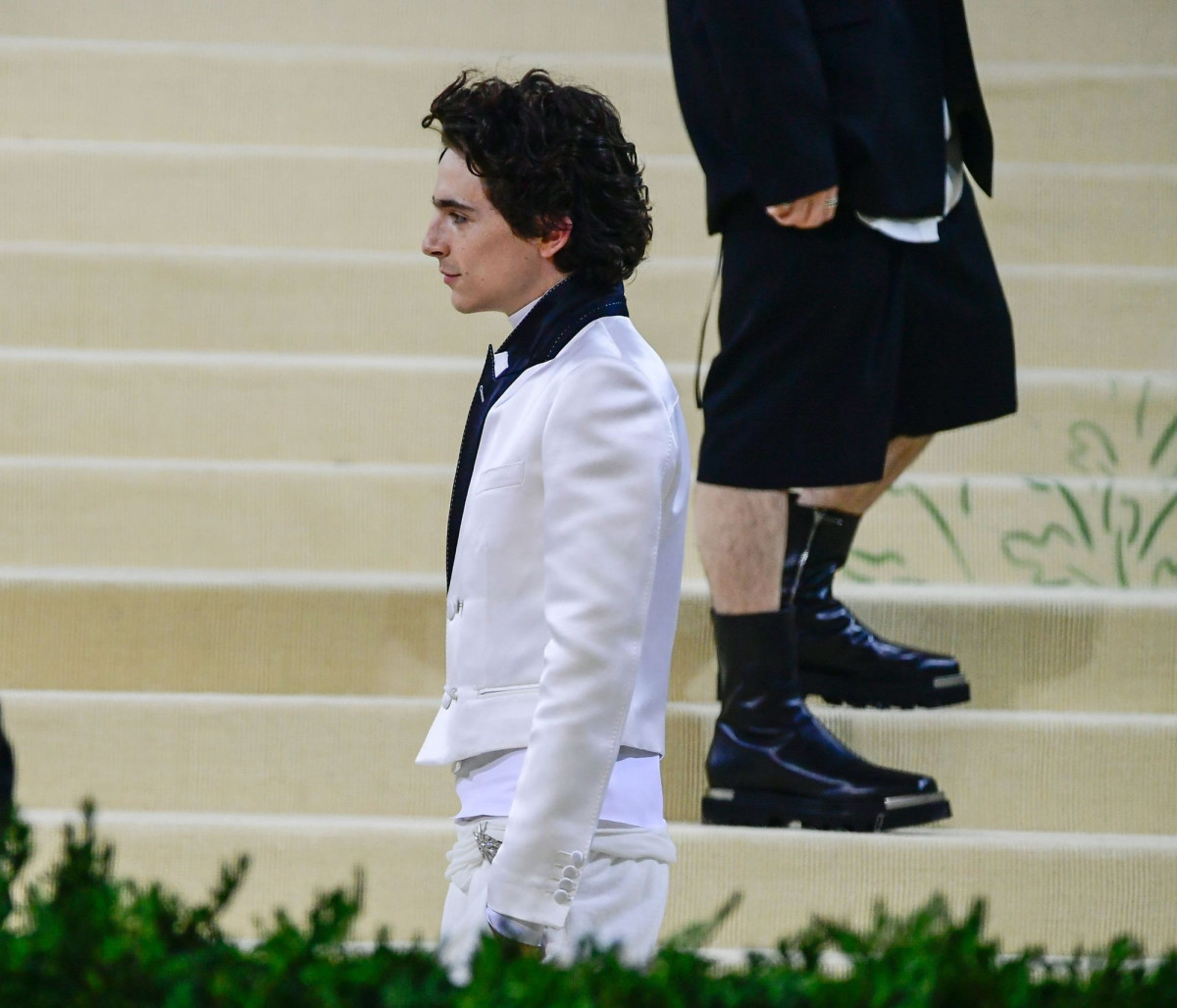 Timothee Chalamet: pic #1331875