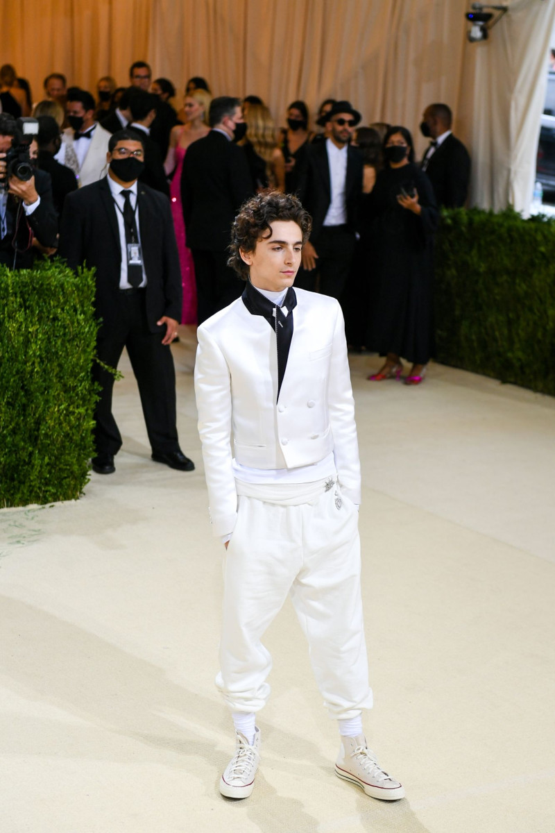 Timothee Chalamet: pic #1331874