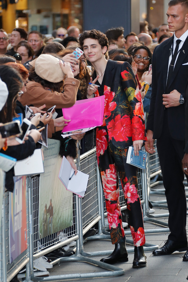 Timothee Chalamet: pic #1317658