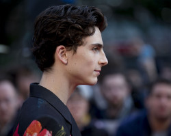 Timothee Chalamet photo #