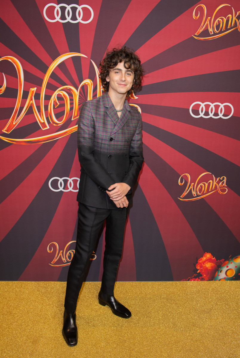 Timothee Chalamet: pic #1341254