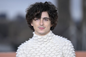 Timothee Chalamet pic #1346091