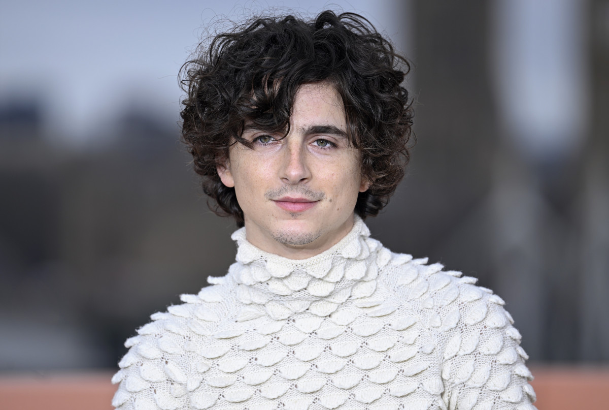 Timothee Chalamet: pic #1346091