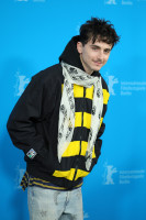 Timothee Chalamet photo #