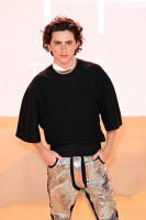 Timothee Chalamet photo #