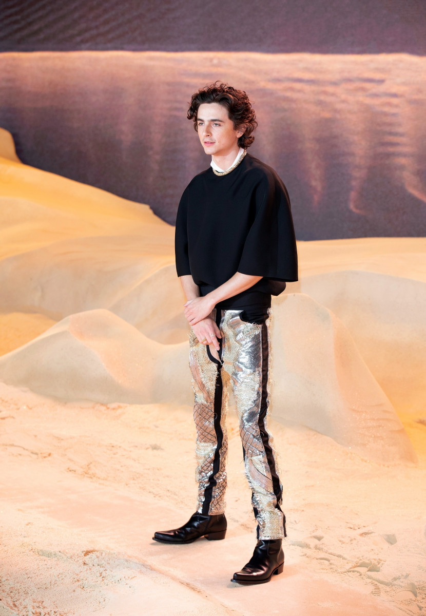 Timothee Chalamet: pic #1355032