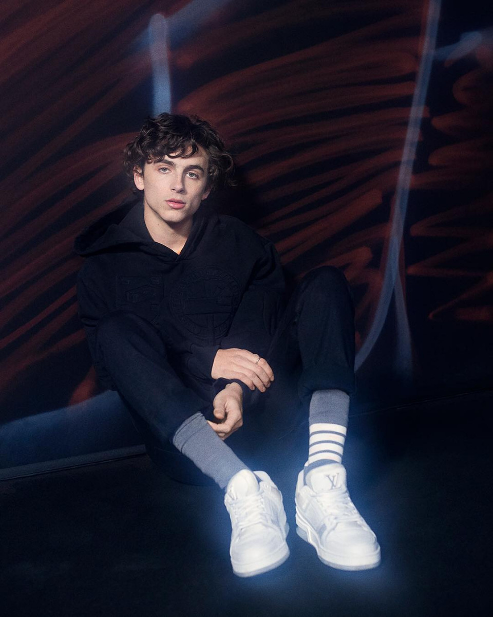 Timothee Chalamet: pic #1333852