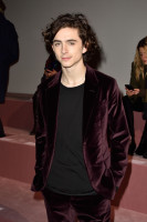 Timothee Chalamet photo #