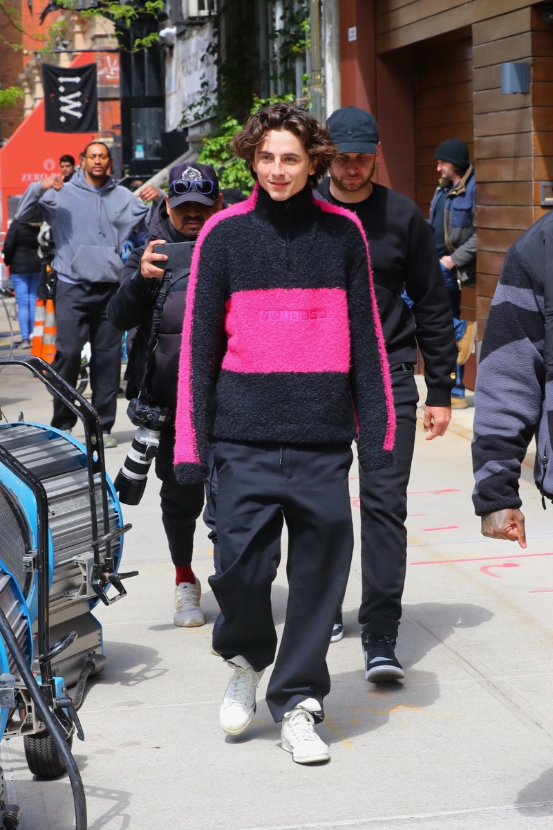 Timothee Chalamet: pic #1332761