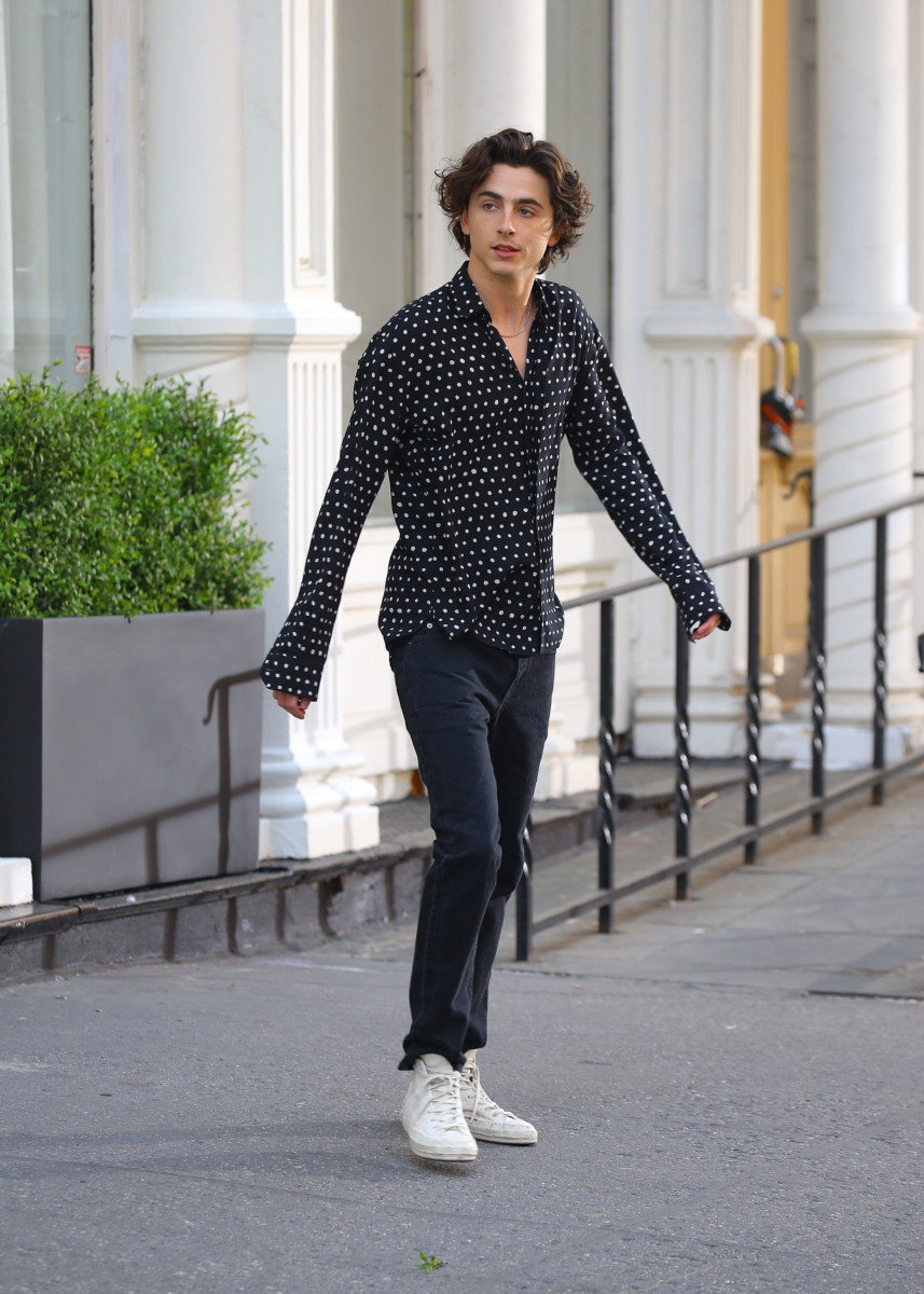 Timothee Chalamet: pic #1327372