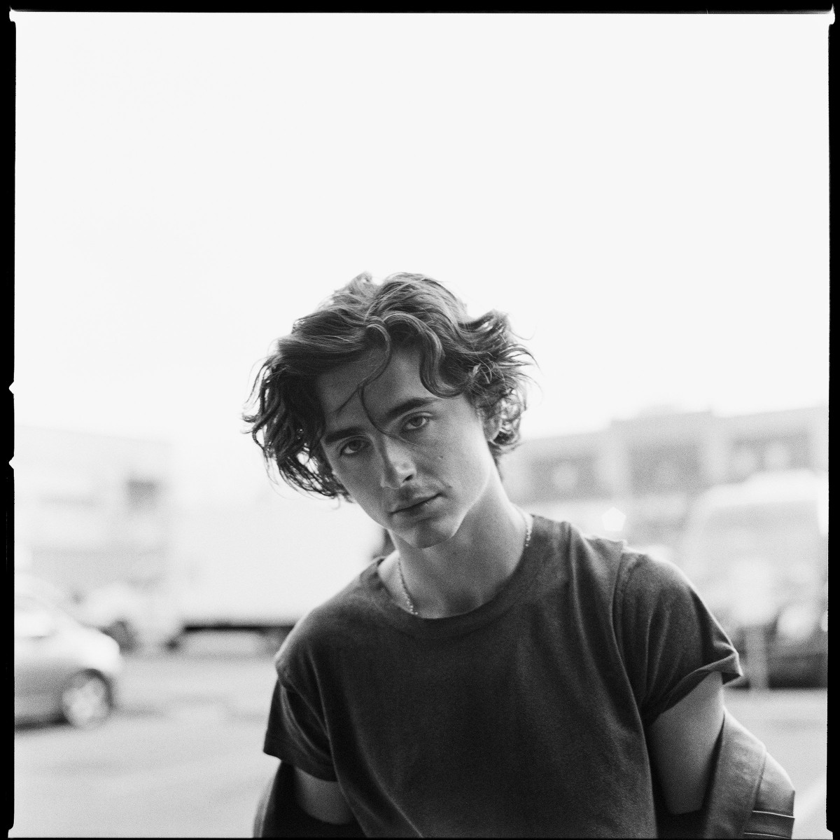 Timothee Chalamet: pic #1354786