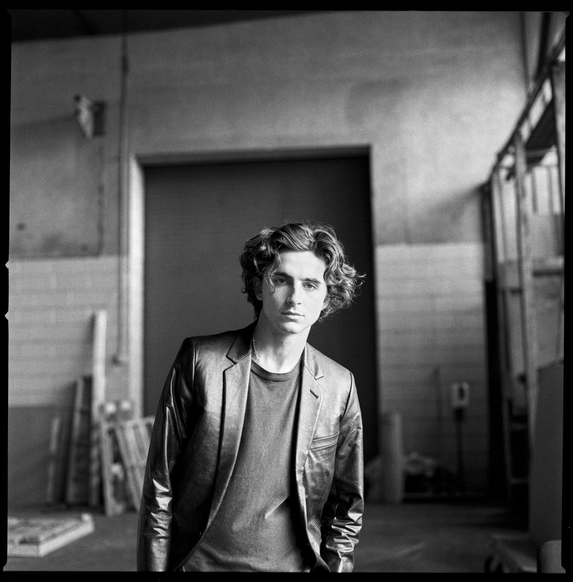 Timothee Chalamet: pic #1352989