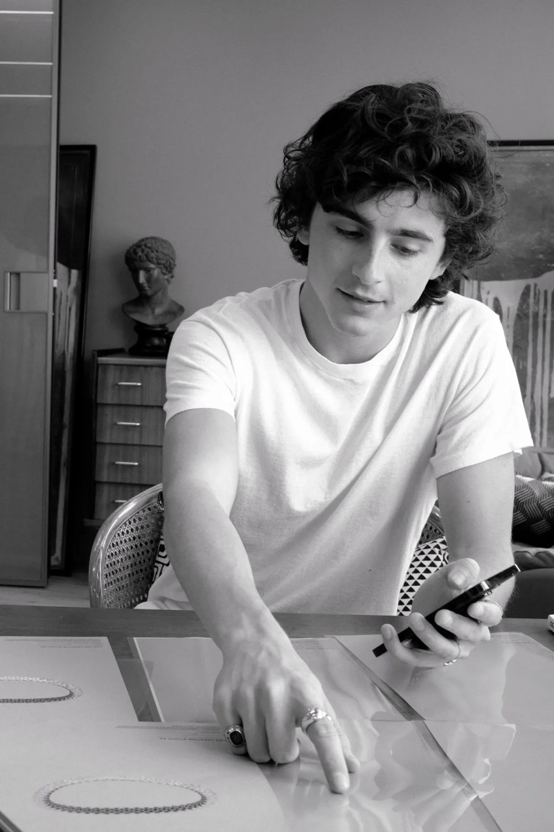 Timothee Chalamet: pic #1341155