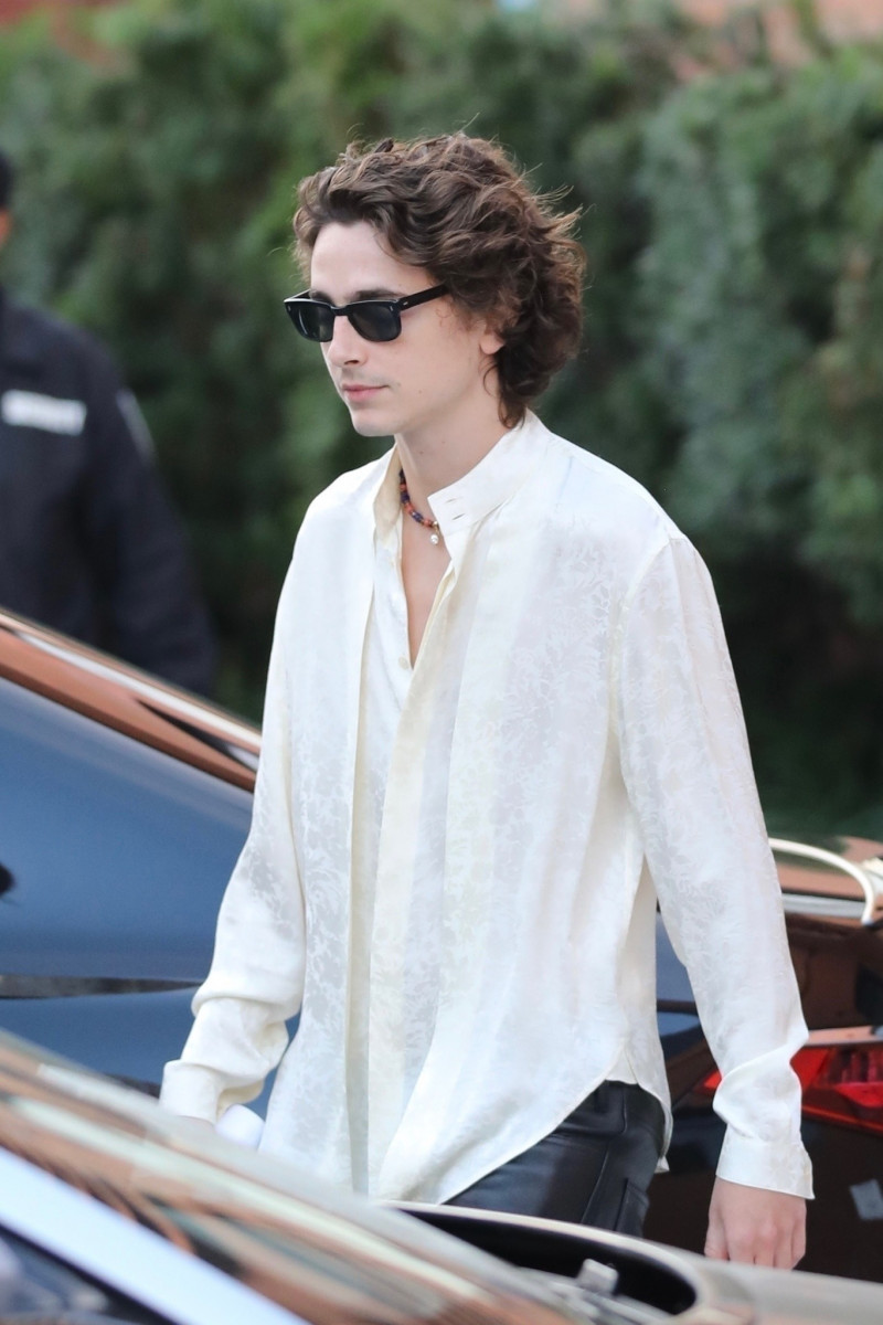 Timothee Chalamet: pic #1342300