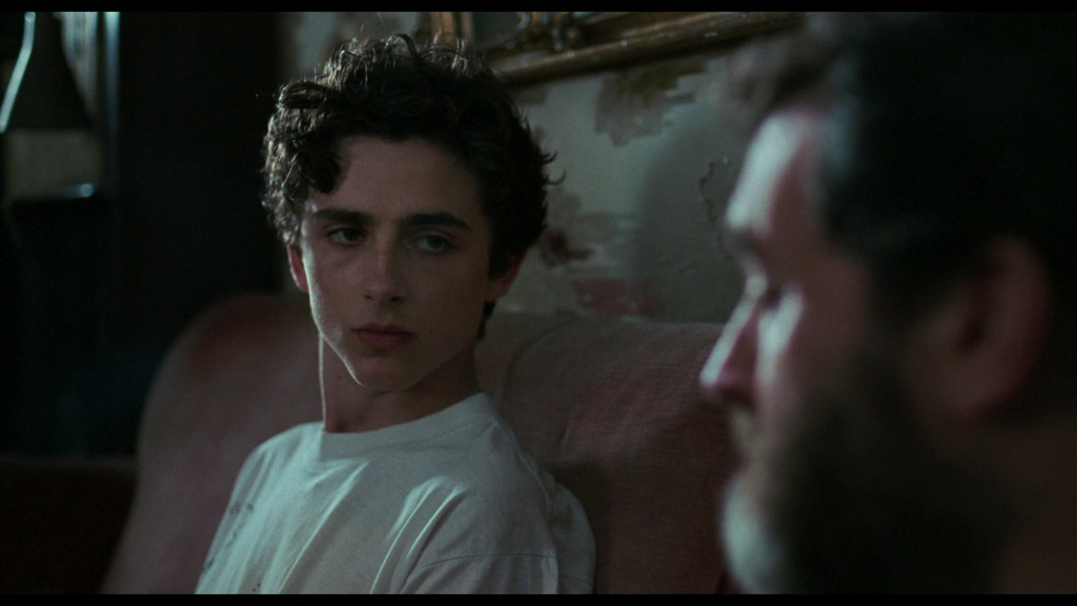 Timothee Chalamet: pic #1334132