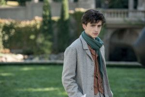 Timothee Chalamet photo #