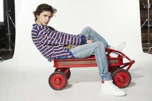 Timothee Chalamet photo #