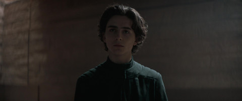 Timothee Chalamet photo #