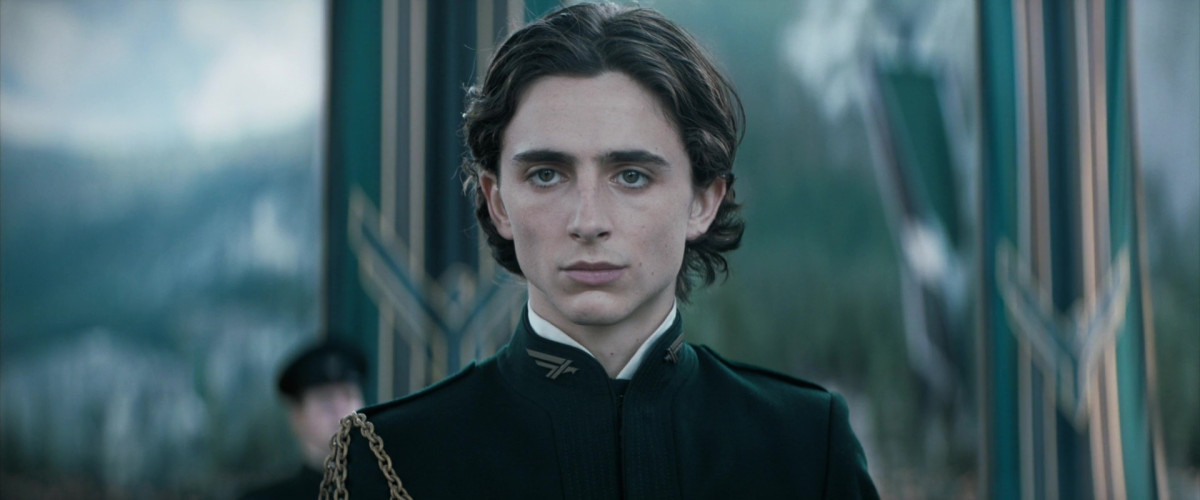 Timothee Chalamet: pic #1309492