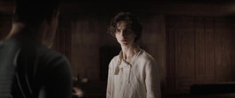 Timothee Chalamet photo #