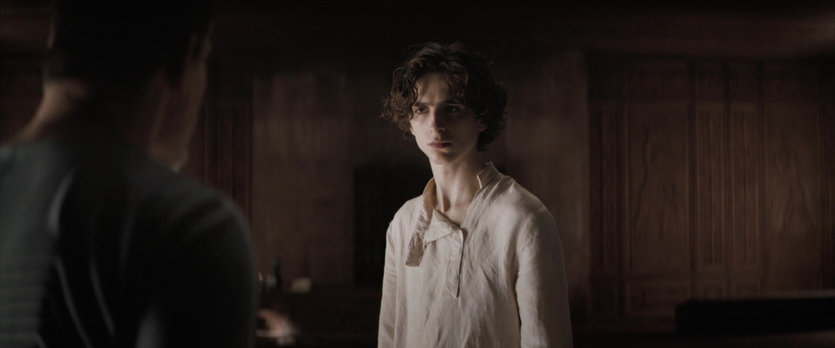 Timothee Chalamet: pic #1309494