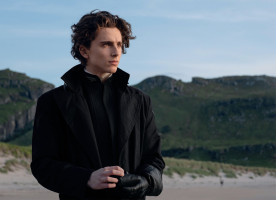 Timothee Chalamet photo #