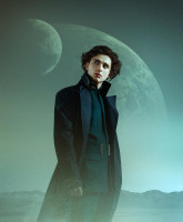 Timothee Chalamet photo #