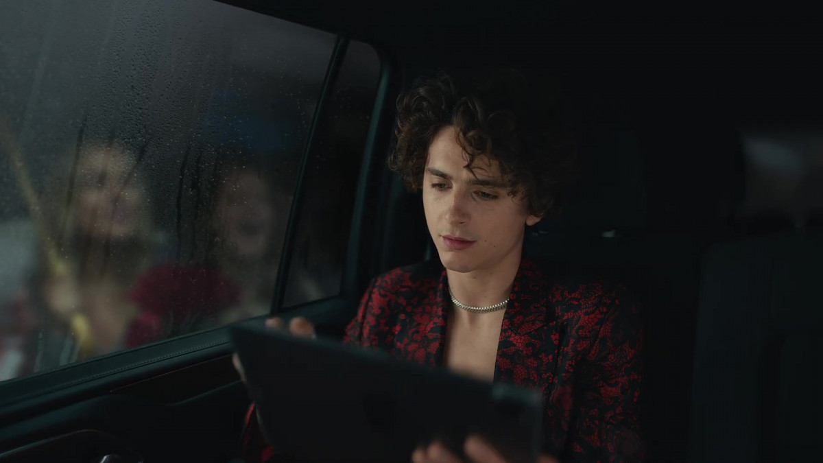 Timothee Chalamet: pic #1354180