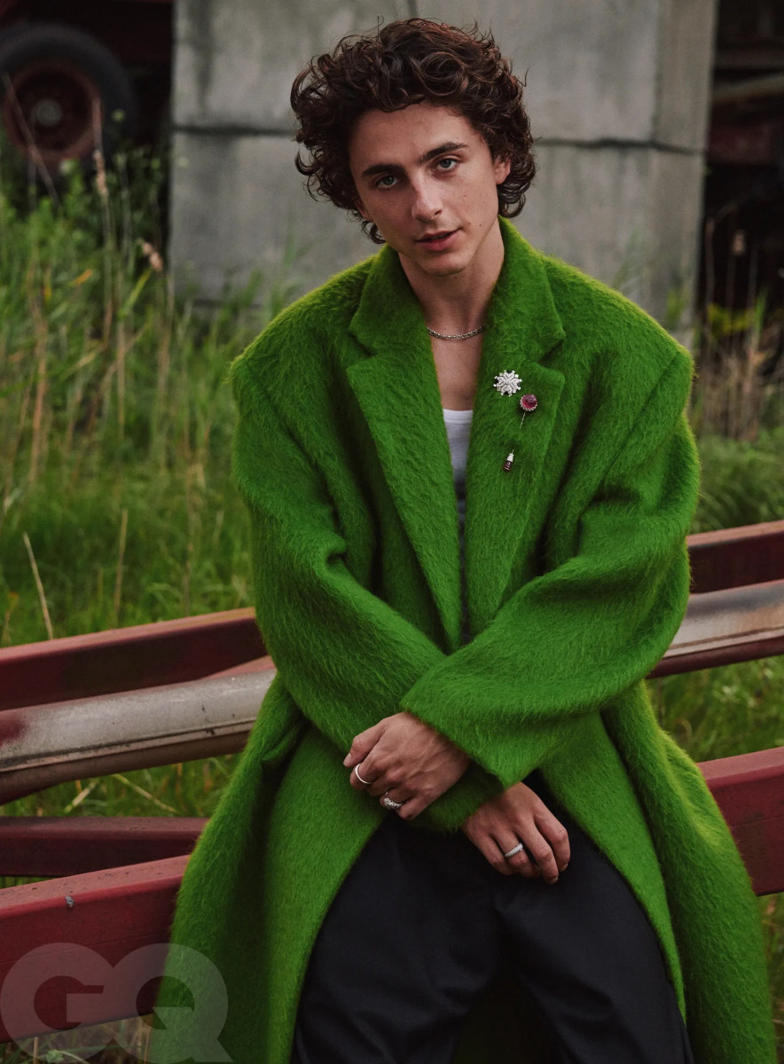 Timothee Chalamet: pic #1337497