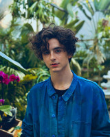 Timothee Chalamet photo #